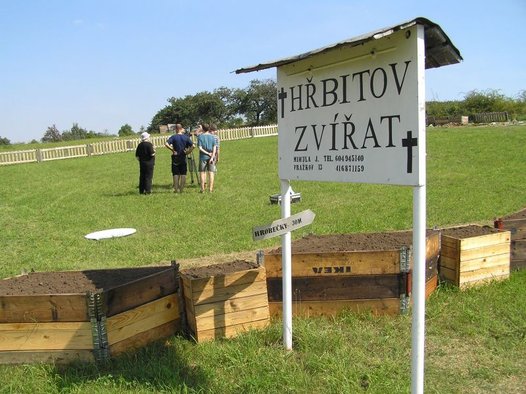 Záviš, the prince of porn music under the influence of Griffith´s Into2