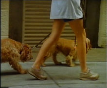 About_Dogs_And_People_1