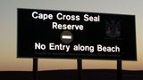 Peace with Seals ENGLISH VERSION0