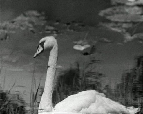 Mirror of Holland1