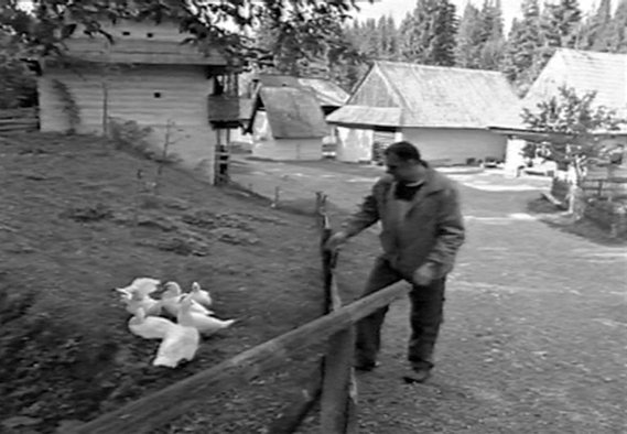 Hey_You_Slovaks!_3