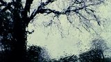 The Silence Of Green0