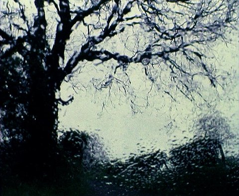 The Silence Of Green0
