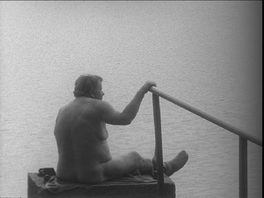 Redemption Attempt of a TV Repairman Josef Lávicka in Nine Scenes1