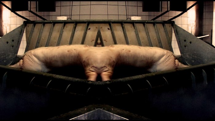 body_3