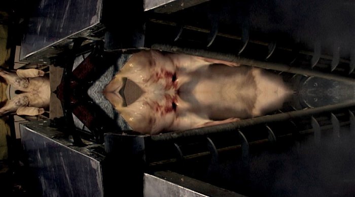 body_4