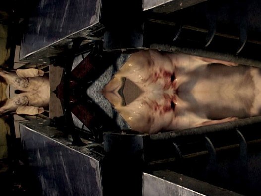 body_1
