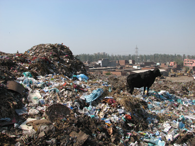 Addicted_to_Plastic_1