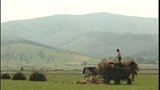 Snail_Fortress_1