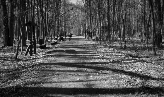 Scene from the film Self-Portrait on a Strike Background