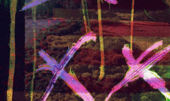 Scene from the film XX