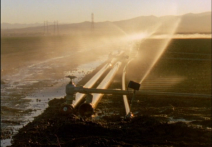 Scene from the film California Company Town