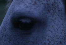 Scene from the film The Smelting of Time