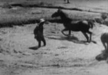Scene from the film Horse of Mud