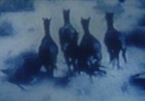 Scene from the film Womannightfilm