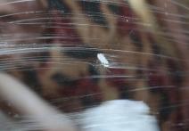 Scene from the film Babajanja