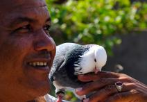 Scene from the film Companion