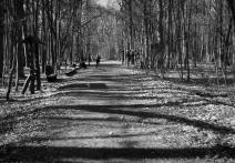 Scene from the film Self-Portrait on a Strike Background