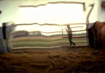Scene from the film Elegy
