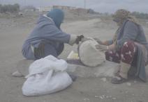 Scene from the film Save the Olive Tree