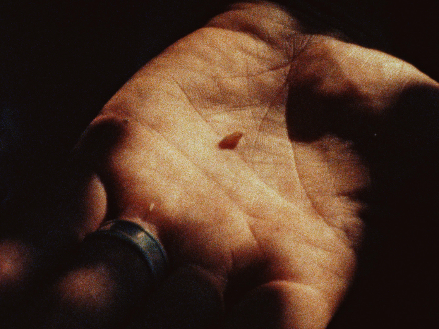 Hany hassan thesis 07 picture