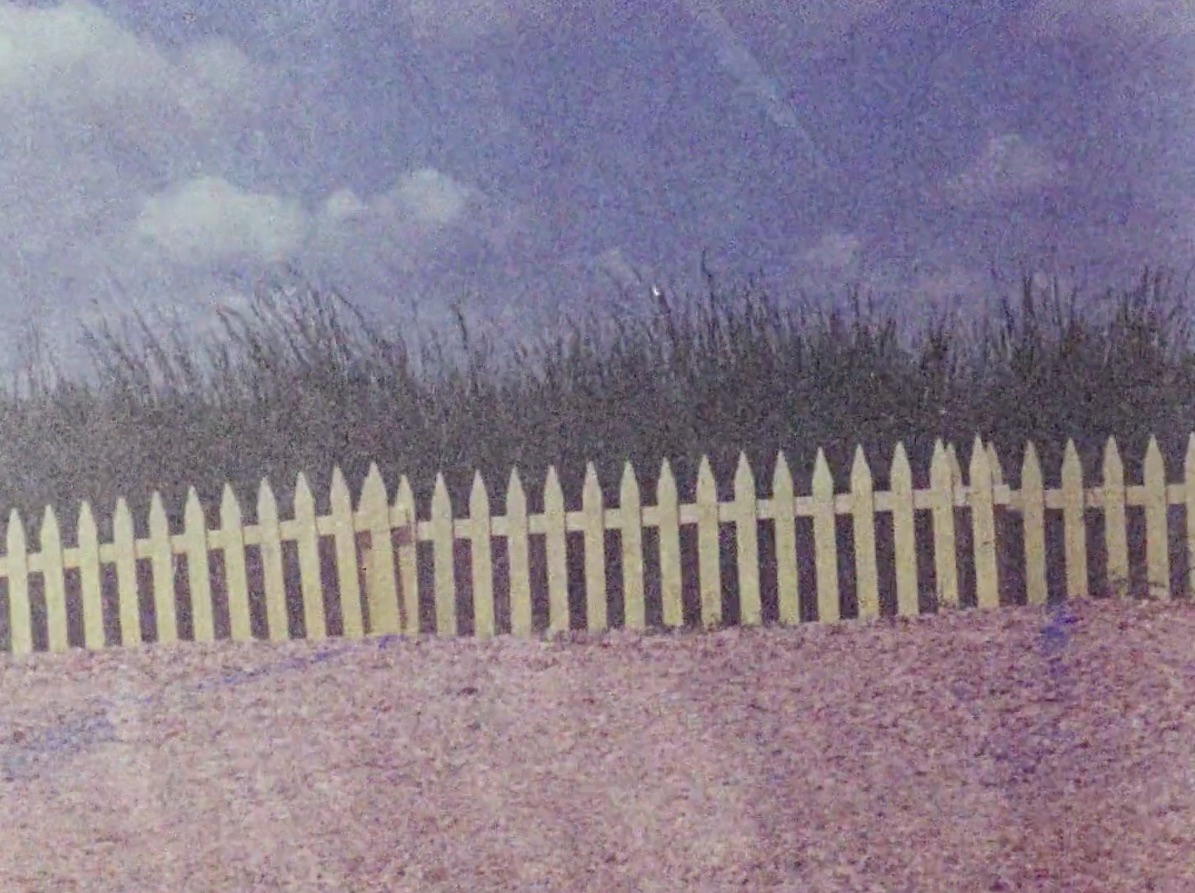 Hany hassan thesis picture