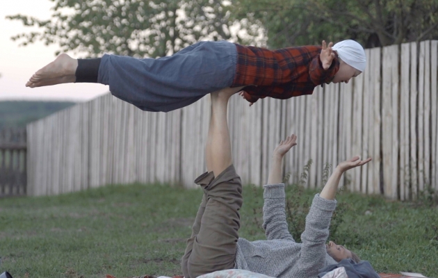 Funny essay on cow in hindi picture