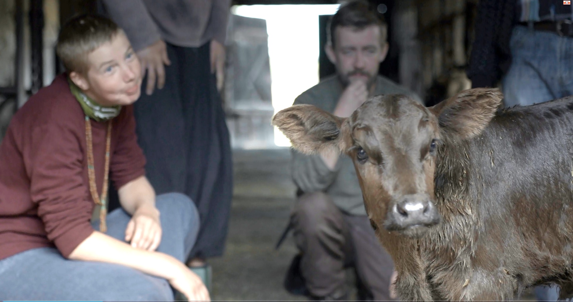 Essay on cow by ias officer image