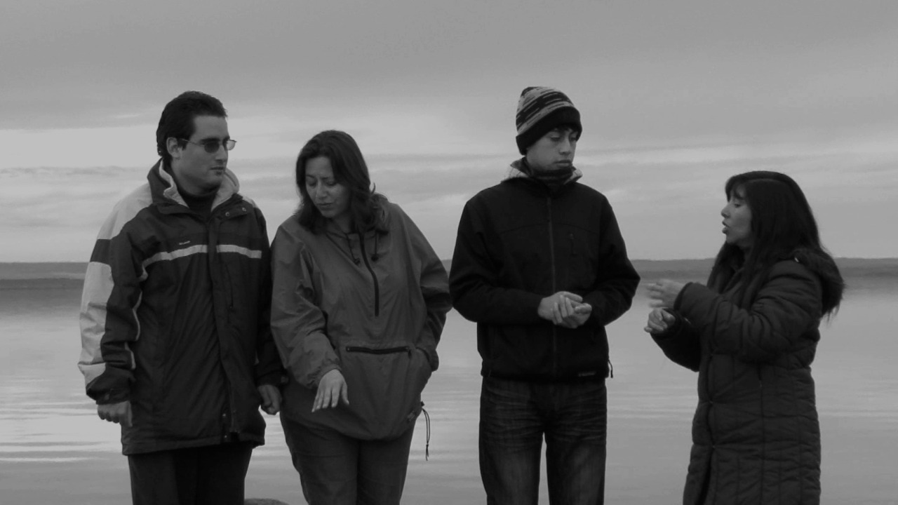 Look Watch Listen Look and Listen - dafilms.com | watch online