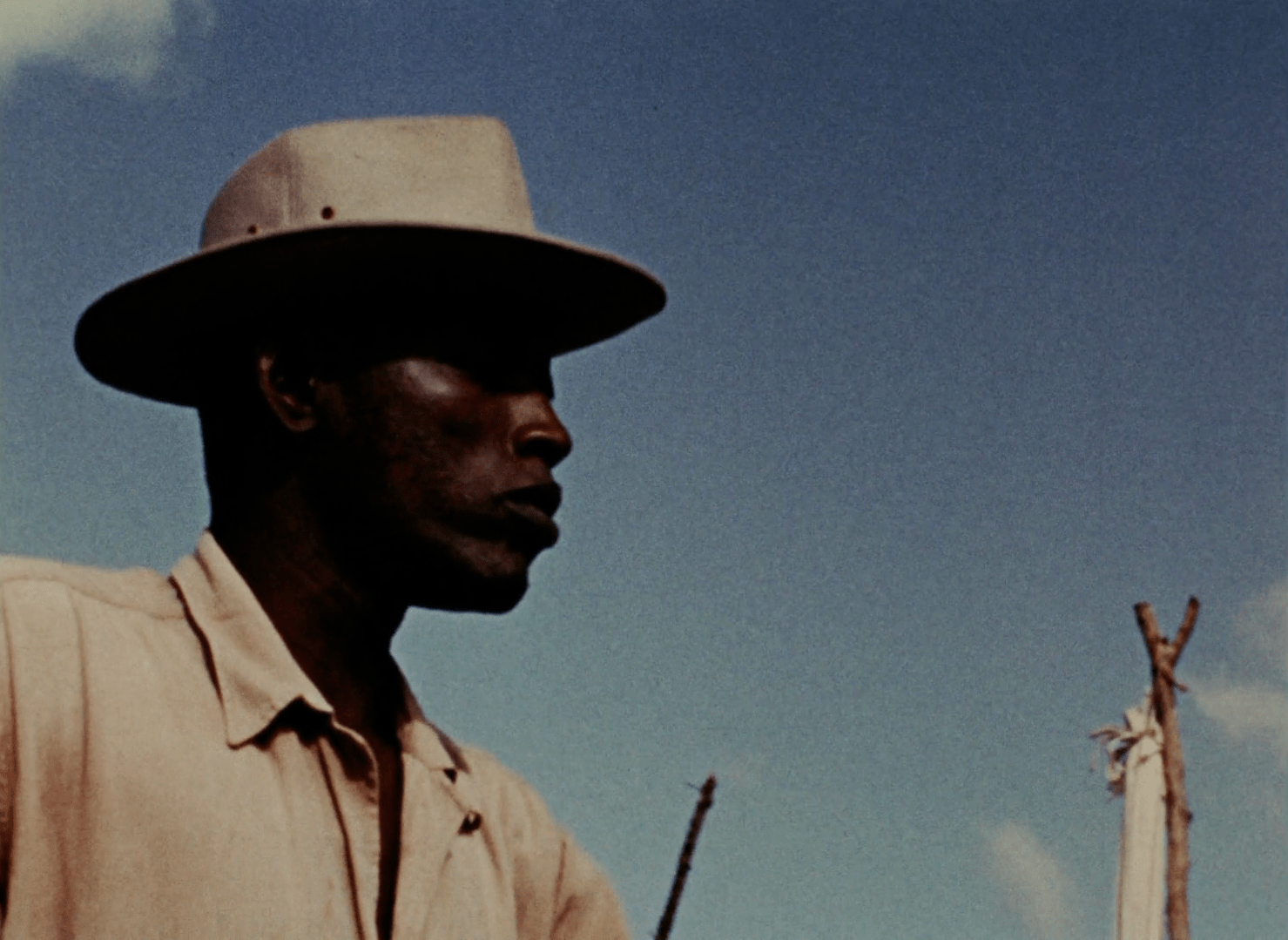 Jaguar Dafilms Watch Online