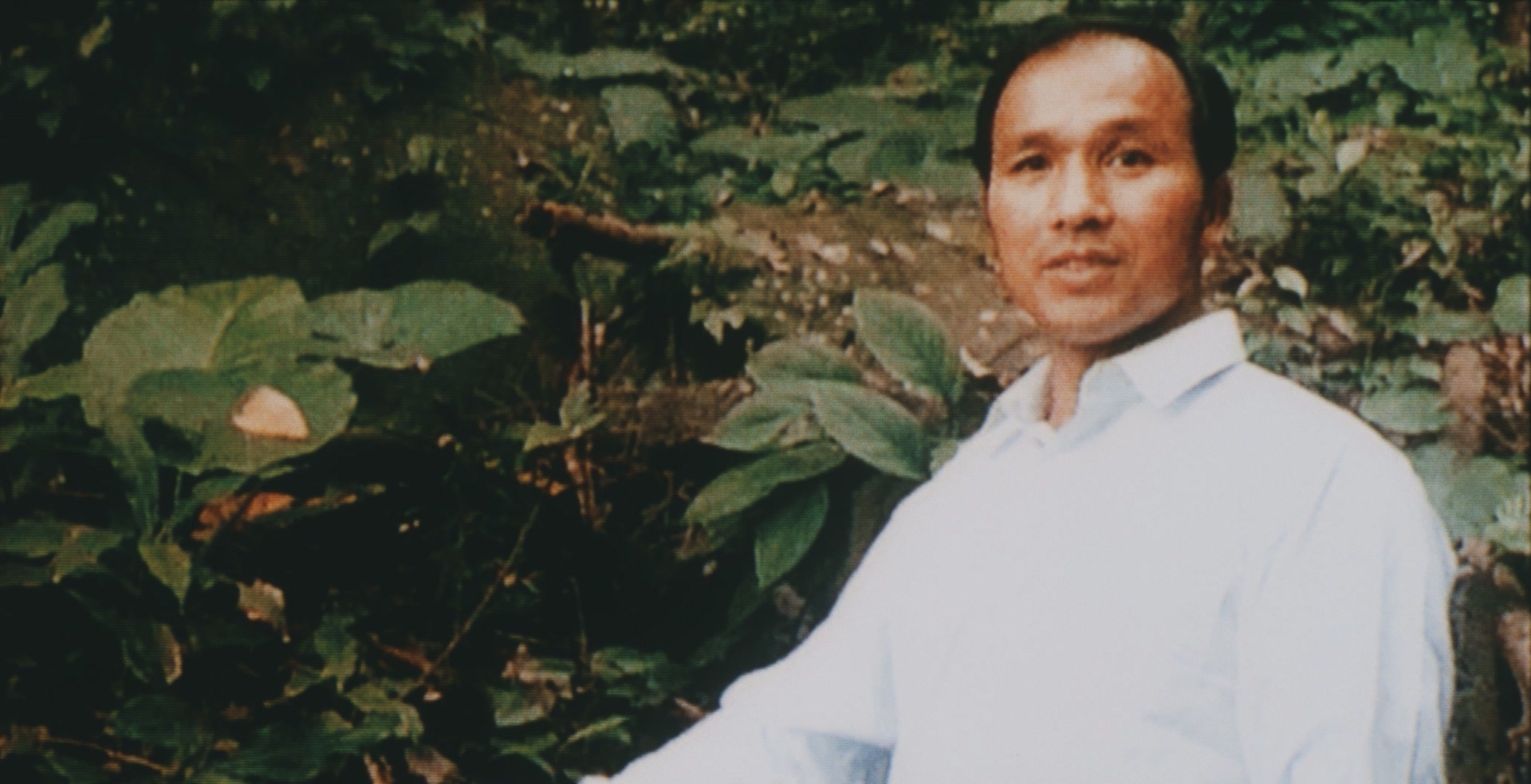 Turtle Island: Nostalgic Voices - dafilms.com | watch online